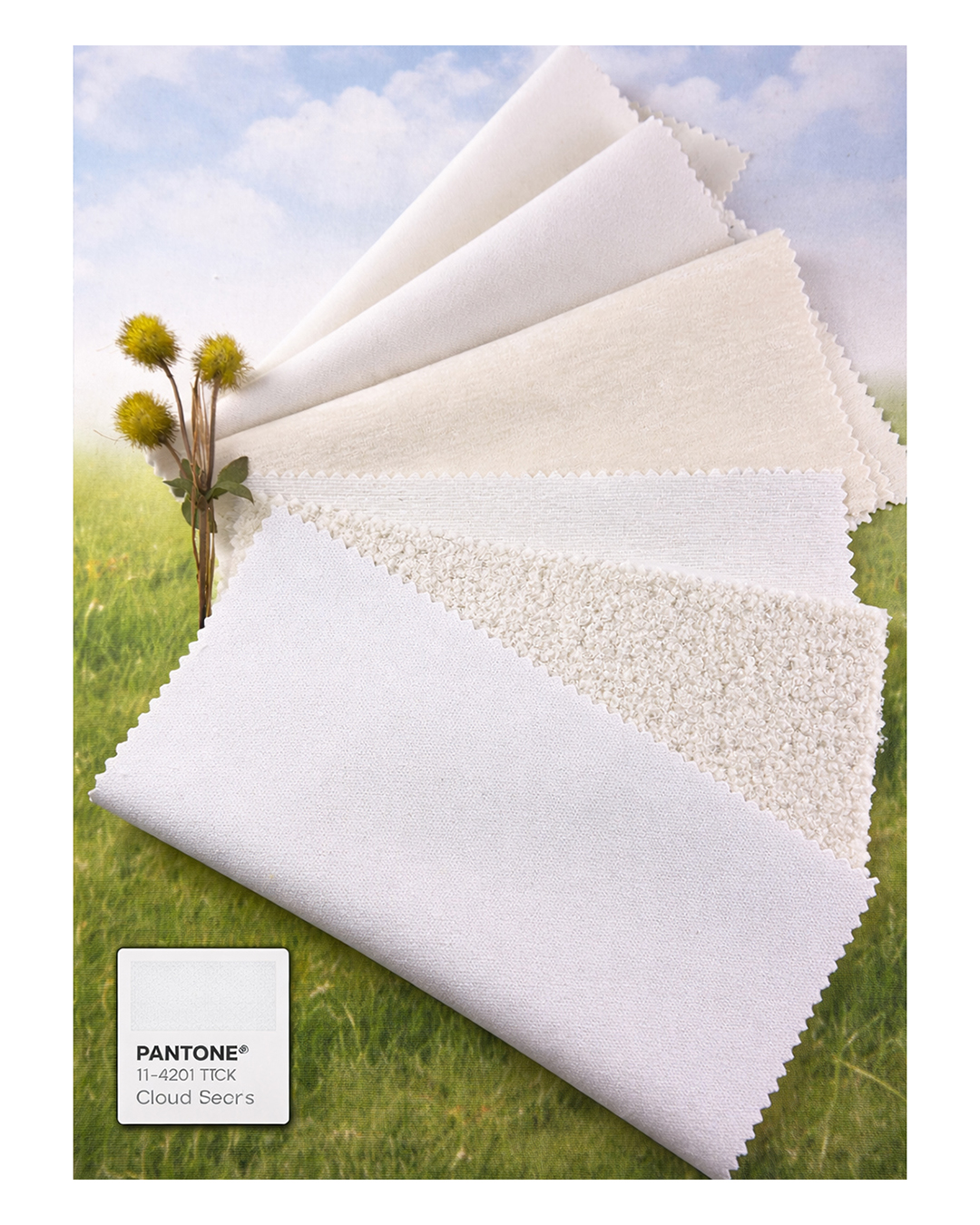 Pantone Cloud Dancer Douglass Wovens