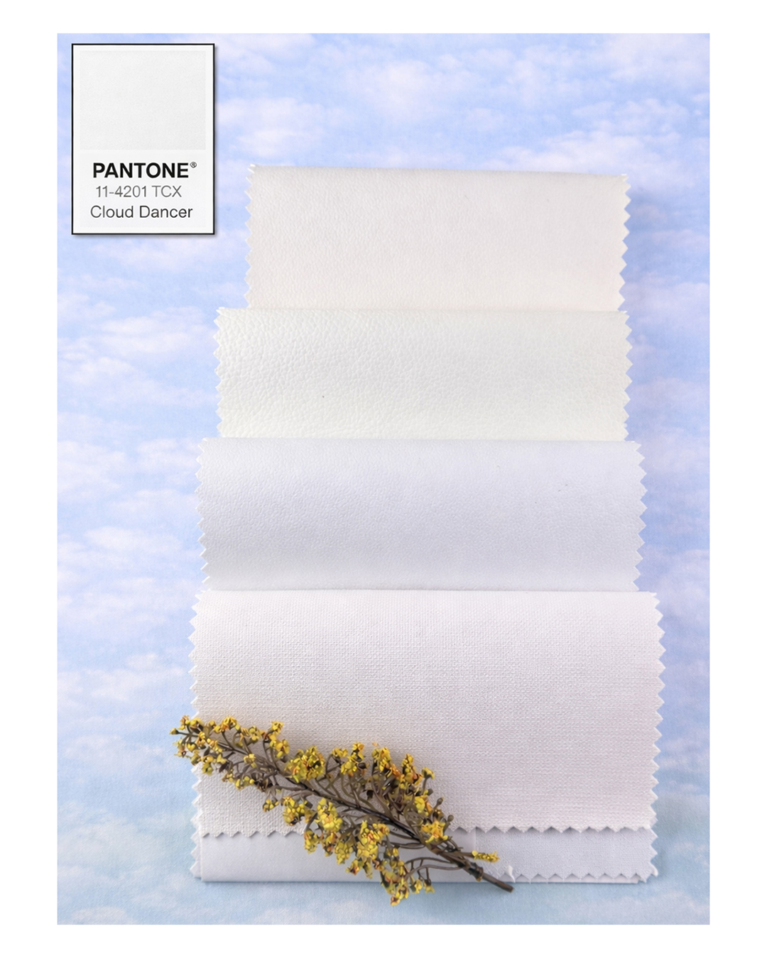 Pantone Cloud Dancer Douglass Vinyls