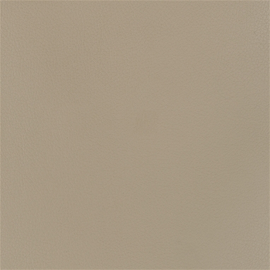 Foundation