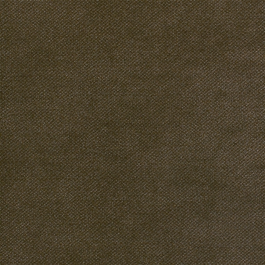 Notion