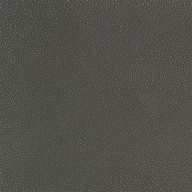 Shagreen