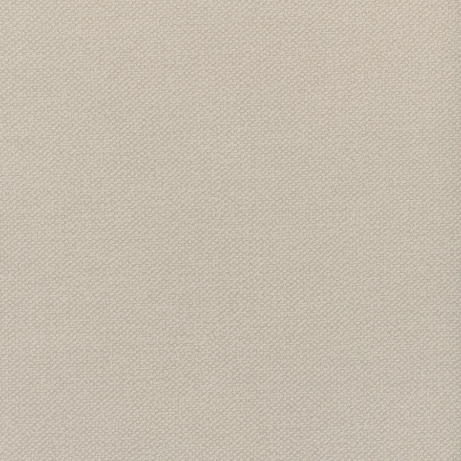 Notion