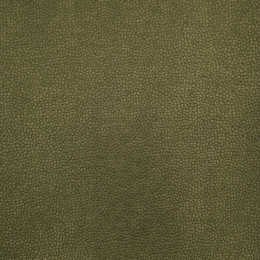 Repertoire
